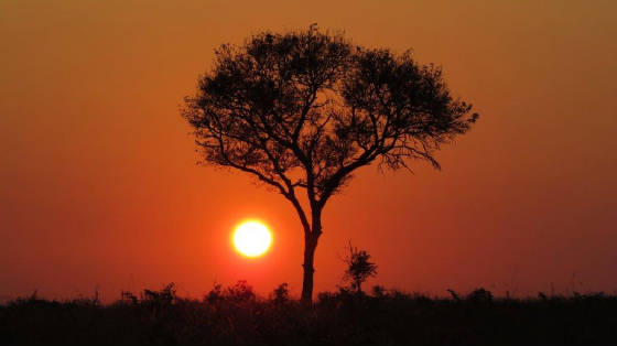 AfricaResized/027_Sunset.jpg